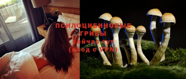 бутират Вязники